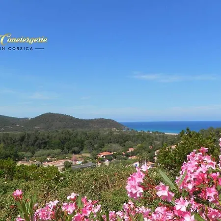 Appartamento Studio N°2 Terrasse Vue Mer Et Piscine 5min Plage De La Testa Olmucciu