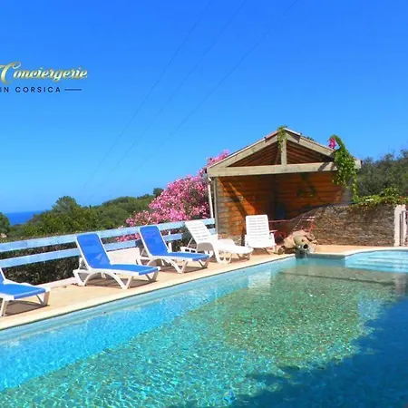 Appartamento Studio N°2 Terrasse Vue Mer Et Piscine 5min Plage De La Testa