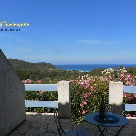 Studio N°2 Terrasse Vue Mer Et Piscine 5min Plage De La Testa *